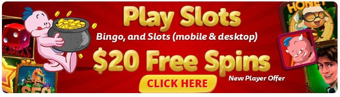 Play Online Slots With $20 Free Spins | BingoMania
